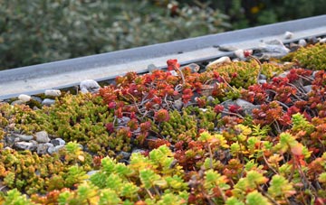 the cost of Fold Head green roof installation