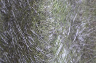 Fold Head fibreglass roof work